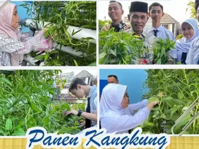 Urban Farming 